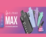 Elfbar Max Pod Kit
