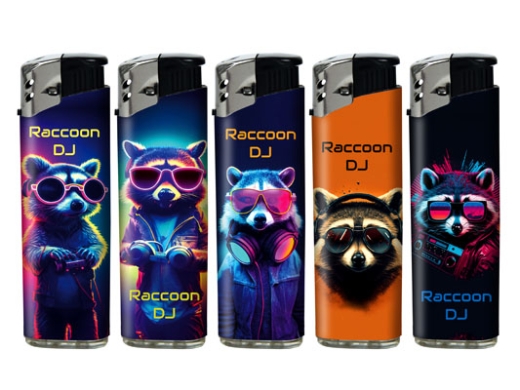 Elektronik WF Raccoon DJ