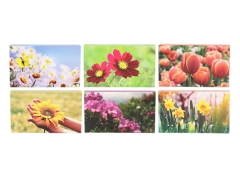 Kaminhölzer Blumen