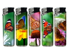 Elektronik WF Butterflys