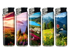 Elektronik WF Landscape Flowers