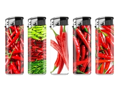 Elektronik LUX Pepper